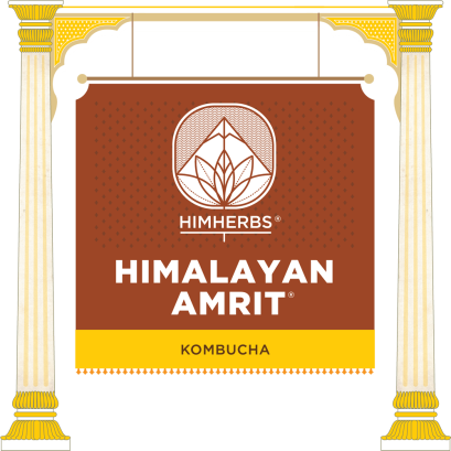 cat-icon-kombucha-hq