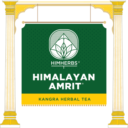 cat-icon-tea-hq