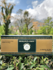 Himalayan Amrit Kangra Herbal Tea (25 Handcrafted Muslin Teabags)