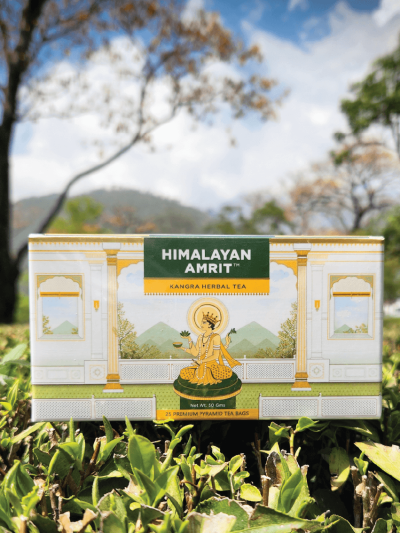 Himalayan Amrit Kangra Herbal Tea (25 Premium Pyramid Teabags)