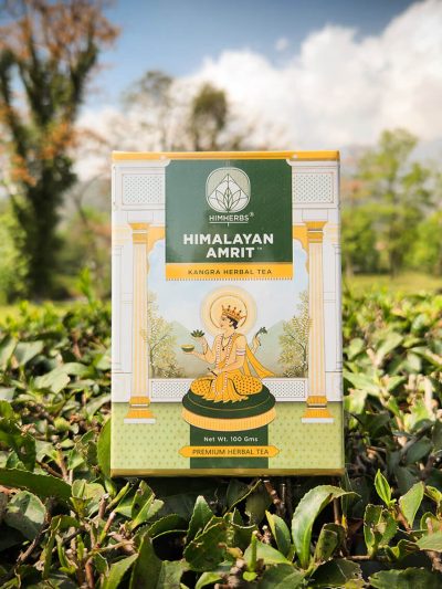 Himalayan Amrit Kangra Herbal (Loose Leaf - 100 Gms)
